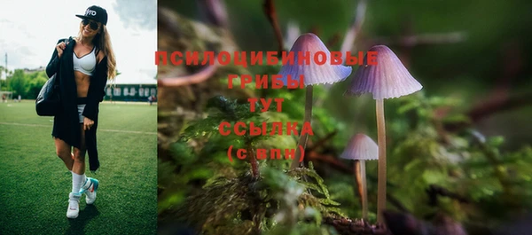 МДПВ Алексеевка