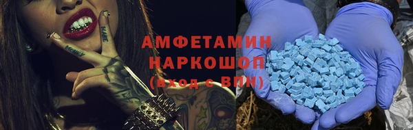 индика Алексин
