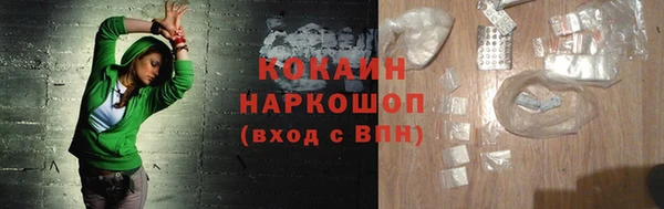 индика Алексин