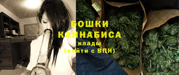 ГАЛЛЮЦИНОГЕННЫЕ ГРИБЫ Нязепетровск