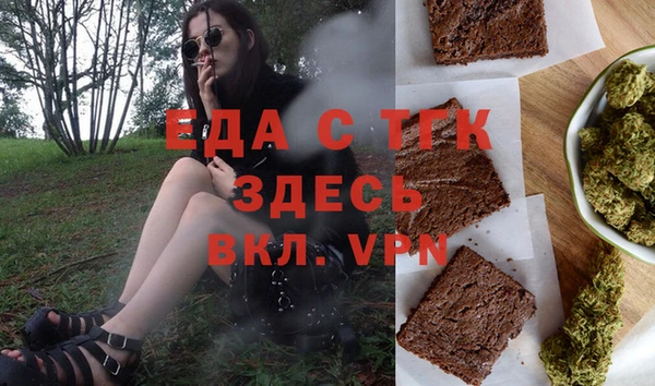 индика Алексин
