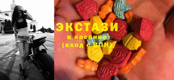 индика Алексин