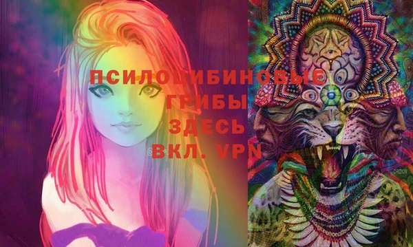 МДПВ Алексеевка