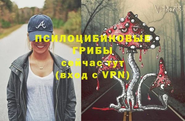 apvp Алзамай